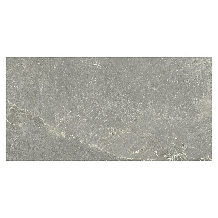 Halcón Keramische tegel Tempo Ash (60 x 30 cm, Ash, Mat, Dikte: 8 mm) | BAUHAUS