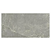 Halcón Keramische tegel Tempo Ash (60 x 30 cm, Ash, Mat, Dikte: 8 mm) | BAUHAUS