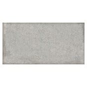 BHS Showroom Keramische tegel (60 x 120 cm, Steel)