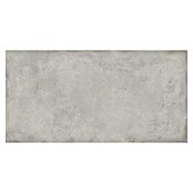 BHS Showroom Keramische tegel (60 x 120 cm, Steel)