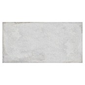 BHS Showroom Keramische tegel (60 x 120 cm, Kalksteenmeel)