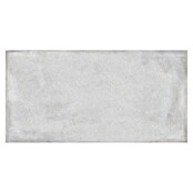 BHS Showroom Keramische tegel (60 x 120 cm, Kalksteenmeel)
