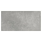 Wandtegel Energy Gris (60 x 30 cm, Grijs, Mat, Dikte: 8 mm) | BAUHAUS