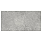 Wandtegel Energy Gris (60 x 30 cm, Grijs, Mat, Dikte: 8 mm) | BAUHAUS