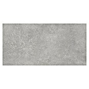 Wandtegel Energy Gris (60 x 30 cm, Grijs, Mat, Dikte: 8 mm) | BAUHAUS