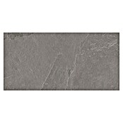Halcón Keramische tegel Aura Ash (60 x 30 cm, Ash, Mat, Dikte: 8 mm) | BAUHAUS