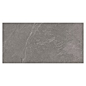 Halcón Keramische tegel Aura Ash (60 x 30 cm, Ash, Mat, Dikte: 8 mm) | BAUHAUS