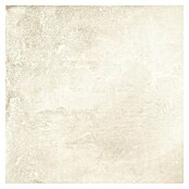 Halcón Keramische tegel Project Ivory (60,5 x 60,5 cm, Ivory, Mat, Dikte: 8 mm) | BAUHAUS