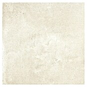 Halcón Keramische tegel Project Ivory (60,5 x 60,5 cm, Ivory, Mat, Dikte: 8 mm) | BAUHAUS