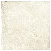 Halcón Keramische tegel Project Ivory (60,5 x 60,5 cm, Ivory, Mat, Dikte: 8 mm) | BAUHAUS
