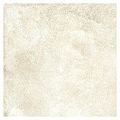 Halcón Keramische tegel Project Ivory (60,5 x 60,5 cm, Ivory, Mat, Dikte: 8 mm) | BAUHAUS