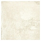 Halcón Keramische tegel Project Ivory (60,5 x 60,5 cm, Ivory, Mat, Dikte: 8 mm) | BAUHAUS