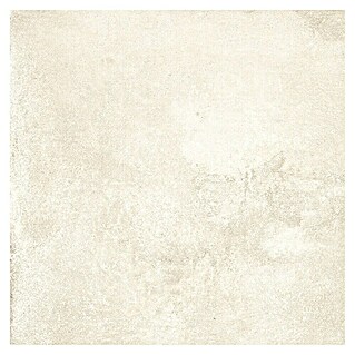 Halcón Keramische tegel Project Ivory (60,5 x 60,5 cm, Ivory, Mat, Dikte: 8 mm)