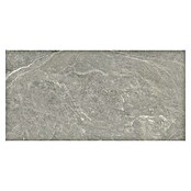 Halcón Keramische tegel Tempo Ash (60 x 30 cm, Ash, Mat, Dikte: 8 mm) | BAUHAUS
