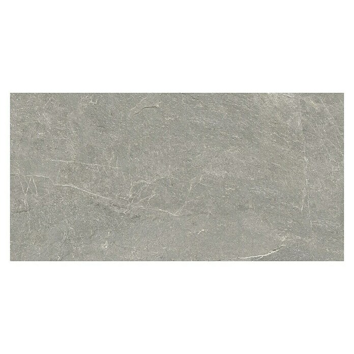 Halcón Keramische tegel Tempo Ash (60 x 30 cm, Ash, Mat, Dikte: 8 mm) | BAUHAUS