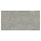 Halcón Keramische tegel Tempo Ash (60 x 30 cm, Ash, Mat, Dikte: 8 mm) | BAUHAUS