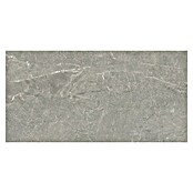 Halcón Keramische tegel Tempo Ash (60 x 30 cm, Ash, Mat, Dikte: 8 mm) | BAUHAUS
