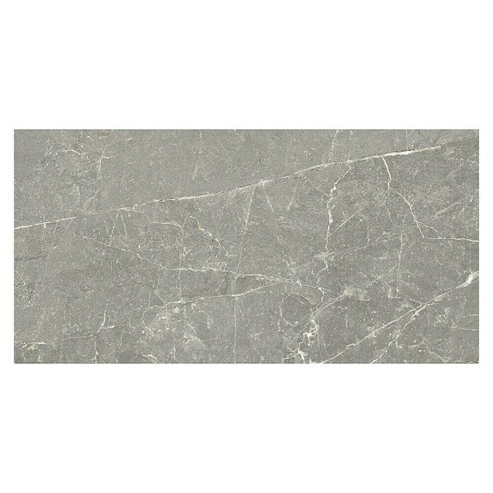 Halcón Keramische tegel Tempo Ash (60 x 30 cm, Ash, Mat, Dikte: 8 mm) | BAUHAUS