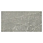 Halcón Keramische tegel Tempo Ash (60 x 30 cm, Ash, Mat, Dikte: 8 mm) | BAUHAUS