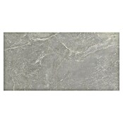 Halcón Keramische tegel Tempo Ash (60 x 30 cm, Ash, Mat, Dikte: 8 mm) | BAUHAUS