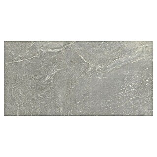 Halcón Keramische tegel Tempo Ash (60 x 30 cm, Ash, Mat, Dikte: 8 mm)