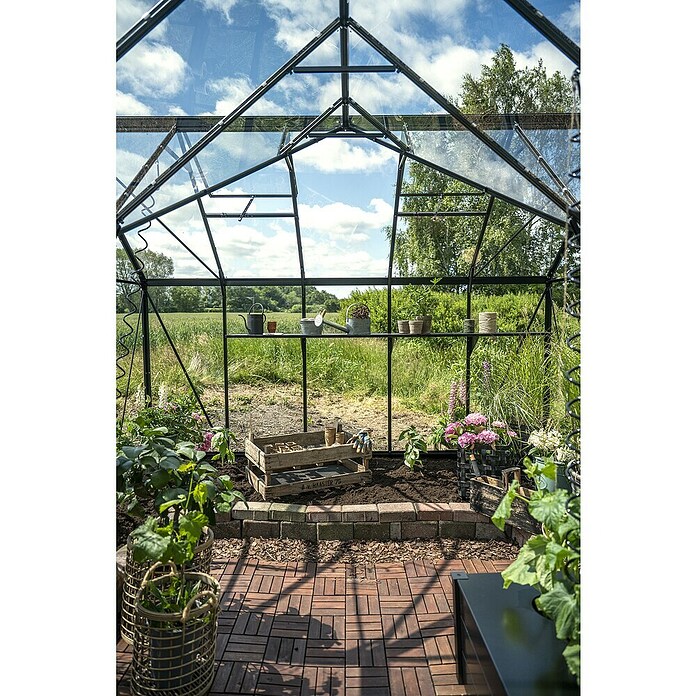 Halls Gewächshaus Icon Gardenhouse (Außenmaß inkl. Dachüberstand (B x T): 321,7 x 319,4 cm, Material Seitenwand: Glas, 3 mm, Schwarz) | BAUHAUS