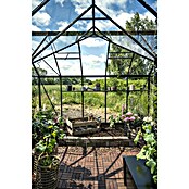 Halls Gewächshaus Icon Gardenhouse (Außenmaß inkl. Dachüberstand (B x T): 321,7 x 319,4 cm, Material Seitenwand: Glas, 3 mm, Schwarz) | BAUHAUS