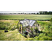 Halls Gewächshaus Icon Gardenhouse (Außenmaß inkl. Dachüberstand (B x T): 321,7 x 319,4 cm, Material Seitenwand: Glas, 3 mm, Schwarz) | BAUHAUS