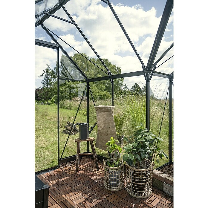 Halls Gewächshaus Icon Gardenhouse (Außenmaß inkl. Dachüberstand (B x T): 321,7 x 319,4 cm, Material Seitenwand: Glas, 3 mm, Schwarz) | BAUHAUS