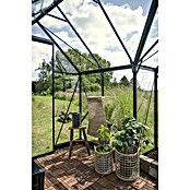 Halls Gewächshaus Icon Gardenhouse (Außenmaß inkl. Dachüberstand (B x T): 321,7 x 319,4 cm, Material Seitenwand: Glas, 3 mm, Schwarz) | BAUHAUS