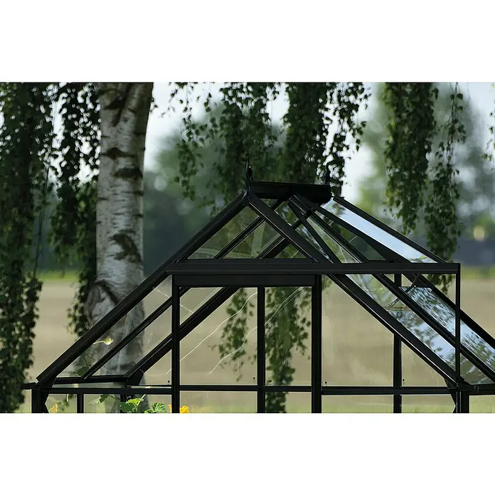 Halls Gewächshaus Icon 6 Blankglas - Außenmaß inkl. Dachüberstand (B x T): 192,5 x 130,3 cm, Material Seitenwand: Glas, 3 mm, Schwarz - Nahaufnahme eines Gewächshauses mit schwarzem Rahmen, das sich durch sein transparentes Dach und die klare Linienführung auszeichnet.