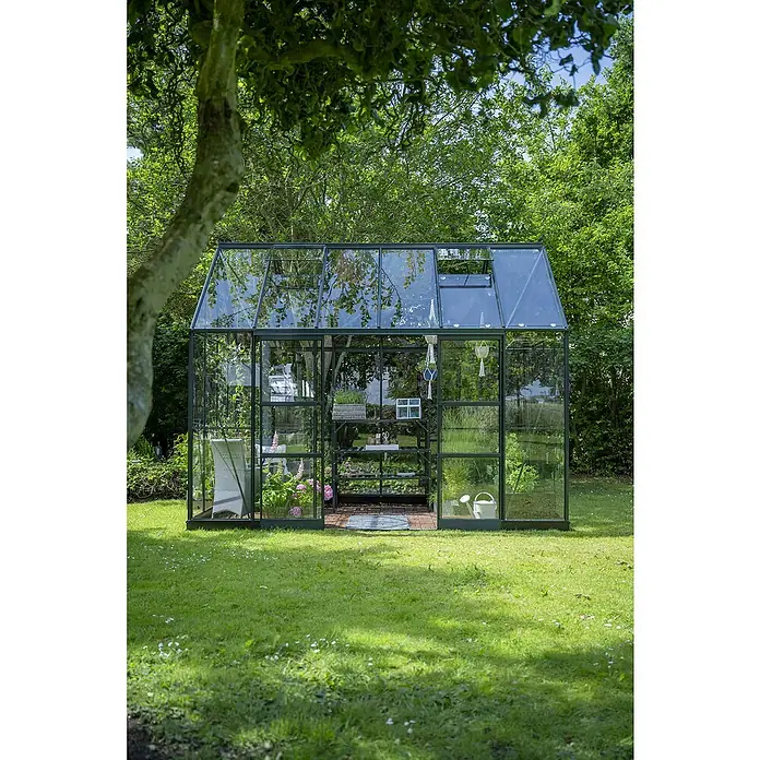 Halls Gewächshaus Icon Planthouse - Außenmaß inkl. Dachüberstand (B x T): 379,1 x 254,7 cm, Material Seitenwand: Glas, 3 mm, Grün - Gewächshaus im Garten.