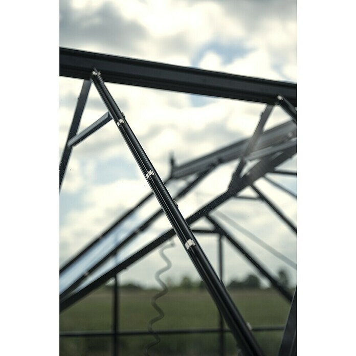 Halls Gewächshaus Icon Gardenhouse (Außenmaß inkl. Dachüberstand (B x T): 321,7 x 319,4 cm, Material Seitenwand: Glas, 3 mm, Schwarz) | BAUHAUS