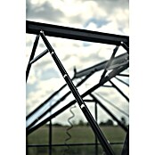 Halls Gewächshaus Icon Gardenhouse (Außenmaß inkl. Dachüberstand (B x T): 321,7 x 319,4 cm, Material Seitenwand: Glas, 3 mm, Schwarz) | BAUHAUS