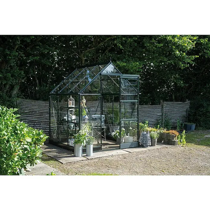 Halls Gewächshaus Icon 6 Blankglas - Außenmaß inkl. Dachüberstand (B x T): 192,5 x 192,5 cm, Material Seitenwand: Glas, 3 mm, Grün - Nahaufnahme eines Gewächshauses im Garten, umgeben von Pflanzen und einem Holzzaun. Das Gewächshaus ist aus Glas und Metall gefertigt.