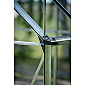 Halls Gewächshaus Icon 6 Blankglas (Außenmaß inkl. Dachüberstand (B x T): 192,5 x 316,9 cm, Material Seitenwand: Glas, 3 mm, Aluminium) | BAUHAUS