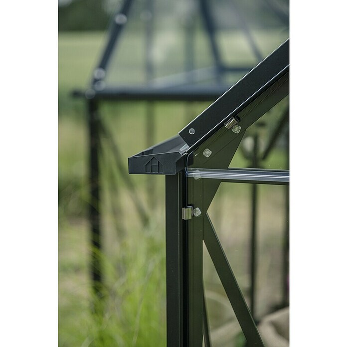Halls Gewächshaus Icon Gardenhouse (Außenmaß inkl. Dachüberstand (B x T): 321,7 x 319,4 cm, Material Seitenwand: Glas, 3 mm, Schwarz) | BAUHAUS