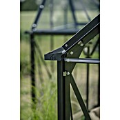Halls Gewächshaus Icon Gardenhouse (Außenmaß inkl. Dachüberstand (B x T): 321,7 x 319,4 cm, Material Seitenwand: Glas, 3 mm, Schwarz) | BAUHAUS