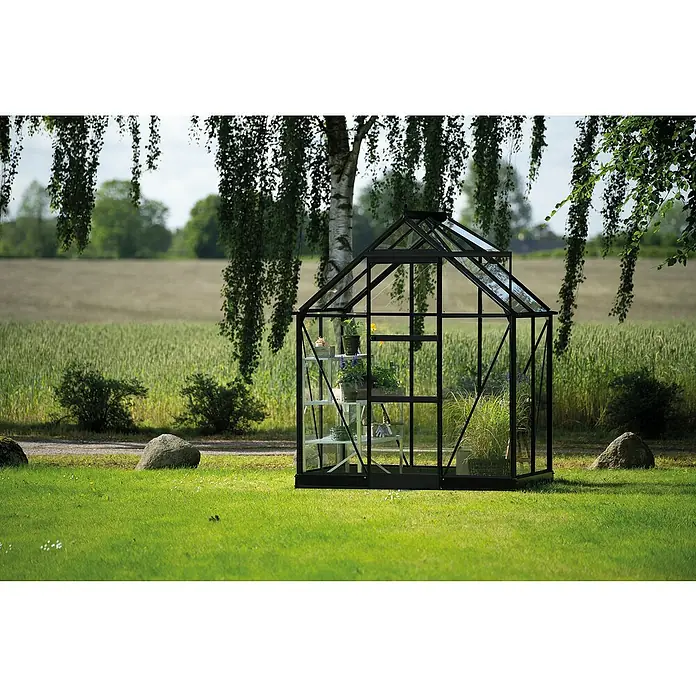 Halls Gewächshaus Icon 6 Einscheiben-Sicherheitsglas - Außenmaß inkl. Dachüberstand (B x T): 192,5 x 130,3 cm, Material Seitenwand: Glas, 3 mm, Schwarz - Ein Gewächshaus mit schwarzem Rahmen steht im Garten. Im Inneren befinden sich Pflanzen auf einem Regal. Das Gewächshaus ist von Bäumen umgeben.