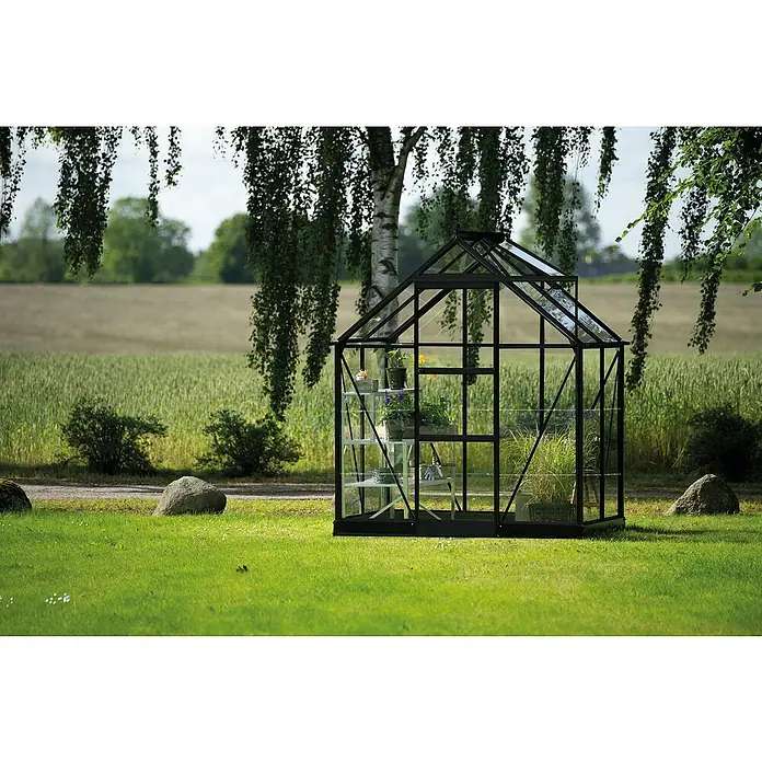 Halls Gewächshaus Icon 6 Blankglas - Außenmaß inkl. Dachüberstand (B x T): 192,5 x 130,3 cm, Material Seitenwand: Glas, 3 mm, Schwarz - Ein Gewächshaus im Garten, umgeben von Bäumen. Es beherbergt Pflanzen auf Regalen und bietet einen idyllischen Anblick.