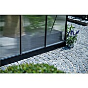Halls Gewächshaus Icon 6 Stegdoppelplatten (Außenmaß inkl. Dachüberstand (B x T): 192,5 x 192,5 cm, Material Seitenwand: Glas, 4 mm, Schwarz) | BAUHAUS