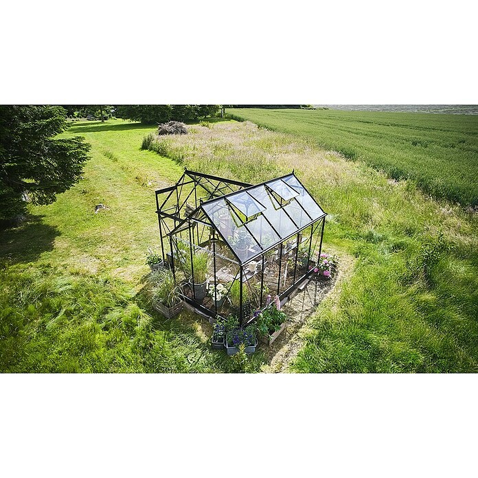 Halls Gewächshaus Icon Gardenhouse (Außenmaß inkl. Dachüberstand (B x T): 321,7 x 319,4 cm, Material Seitenwand: Glas, 3 mm, Schwarz) | BAUHAUS