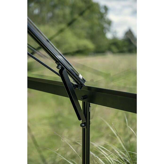 Halls Gewächshaus Icon Gardenhouse (Außenmaß inkl. Dachüberstand (B x T): 321,7 x 319,4 cm, Material Seitenwand: Glas, 3 mm, Schwarz) | BAUHAUS