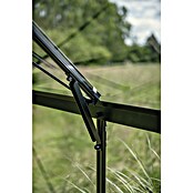 Halls Gewächshaus Icon Gardenhouse (Außenmaß inkl. Dachüberstand (B x T): 321,7 x 319,4 cm, Material Seitenwand: Glas, 3 mm, Schwarz) | BAUHAUS