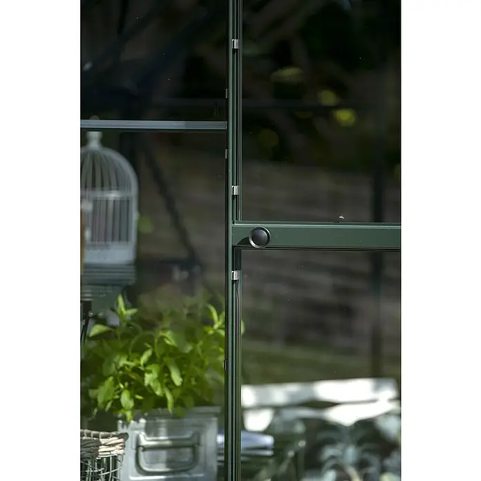 Halls Gewächshaus Icon 6 Einscheiben-Sicherheitsglas - Außenmaß inkl. Dachüberstand (B x T): 192,5 x 192,5 cm, Material Seitenwand: Glas, 3 mm, Grün - Nahaufnahme eines grünen Gewächshausfensters mit Metallrahmen, das Pflanzen und Gartengeräte reflektiert und eine ruhige Gartenszene zeigt.