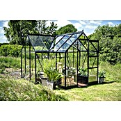Halls Gewächshaus Icon Gardenhouse (Außenmaß inkl. Dachüberstand (B x T): 321,7 x 319,4 cm, Material Seitenwand: Glas, 3 mm, Schwarz) | BAUHAUS