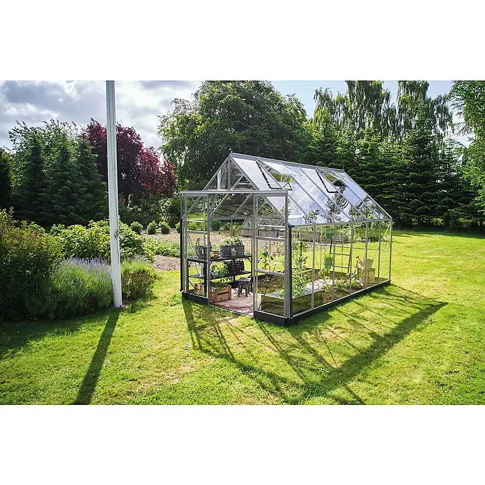 Halls Gewächshaus Icon 8 Einscheiben-Sicherheitsglas - Außenmaß inkl. Dachüberstand (B x T): 254,7 x 379,1 cm, Material Seitenwand: Glas, 3 mm, Aluminium - Ein Gewächshaus im Garten mit Glaswänden und Pflanzen im Inneren. Das Gewächshaus ist von Grün umgeben.
