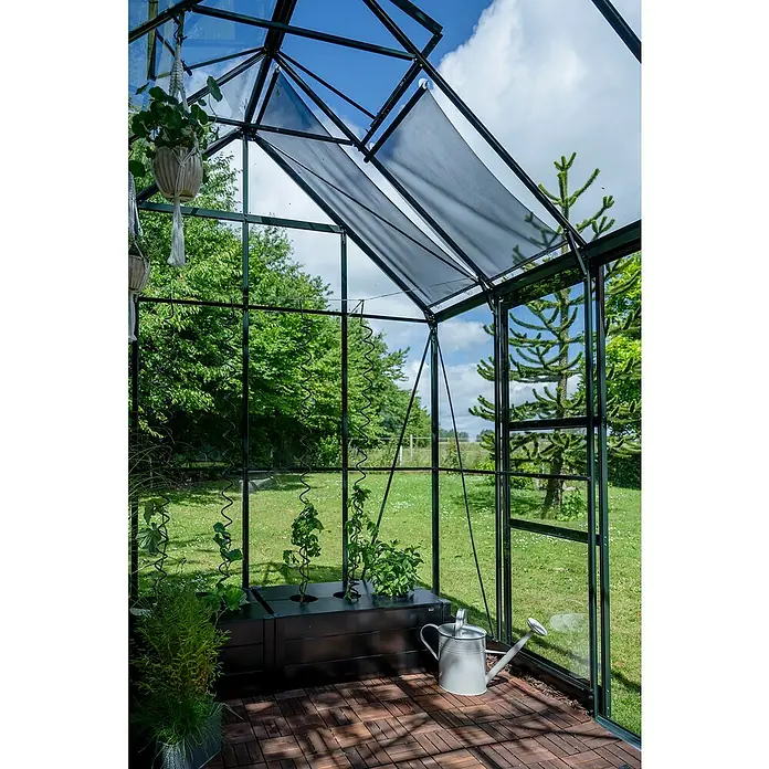 Halls Gewächshaus Icon Planthouse - Außenmaß inkl. Dachüberstand (B x T): 379,1 x 254,7 cm, Material Seitenwand: Glas, 3 mm, Grün - Innenansicht eines Gewächshauses mit Pflanzen in Töpfen, einer Bewässerungskanne und Beschattungselementen für optimales Pflanzenwachstum.