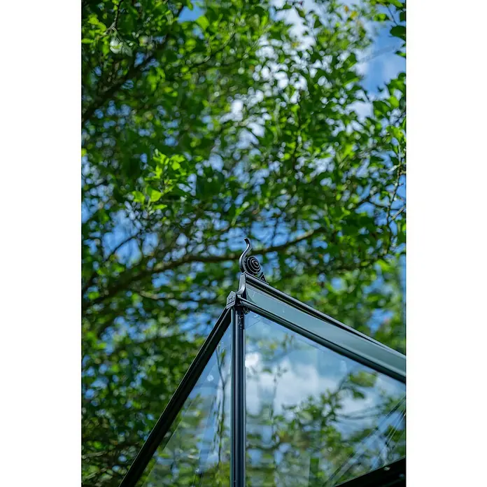 Halls Gewächshaus Icon Planthouse - Außenmaß inkl. Dachüberstand (B x T): 379,1 x 254,7 cm, Material Seitenwand: Glas, 3 mm, Grün - Detailaufnahme eines Gewächshauses mit filigranem Zierelement vor einem Hintergrund aus Bäumen und blauem Himmel.