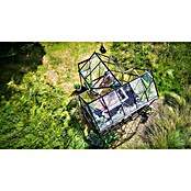 Halls Gewächshaus Icon Gardenhouse (Außenmaß inkl. Dachüberstand (B x T): 321,7 x 319,4 cm, Material Seitenwand: Glas, 3 mm, Schwarz) | BAUHAUS